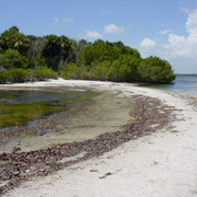 Wabasso and Pine Islands;Hole in the Wall Island.