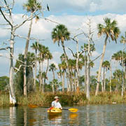 Weeki Wachee;Paddling Bayport.