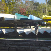 Wekiva River / Rock Springs Run;Wekiva Marina;Canoe;Great Blue Heron.