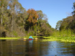 Wekiva Heading Down River