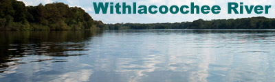 Withlacoochee River Banner
