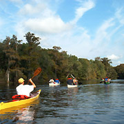 Withlacoochee River;Camping;Kayaks and Canoes.