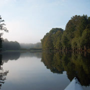 Withlacoochee River;Morning River.