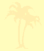 Palm Tree Background