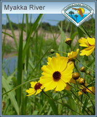 #2 Myakka River State Park