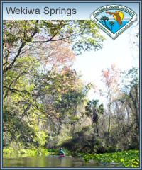 #10 Wekiwa Springs State Park