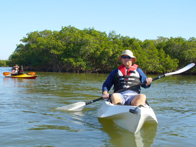 Caladesi Island Mangrove Kayak Trail Map Caladesi Island Mangrove Kayak Trail Map