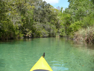Weeki Wachee River Report Green Wave Forum