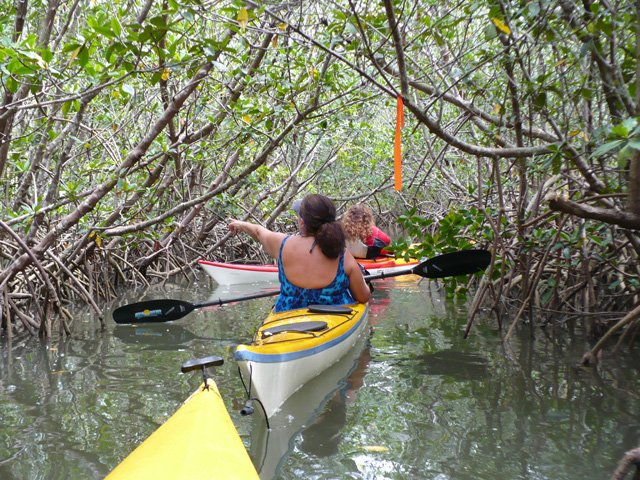 Caladesi Island Circumnavigate Caladesi Report Green