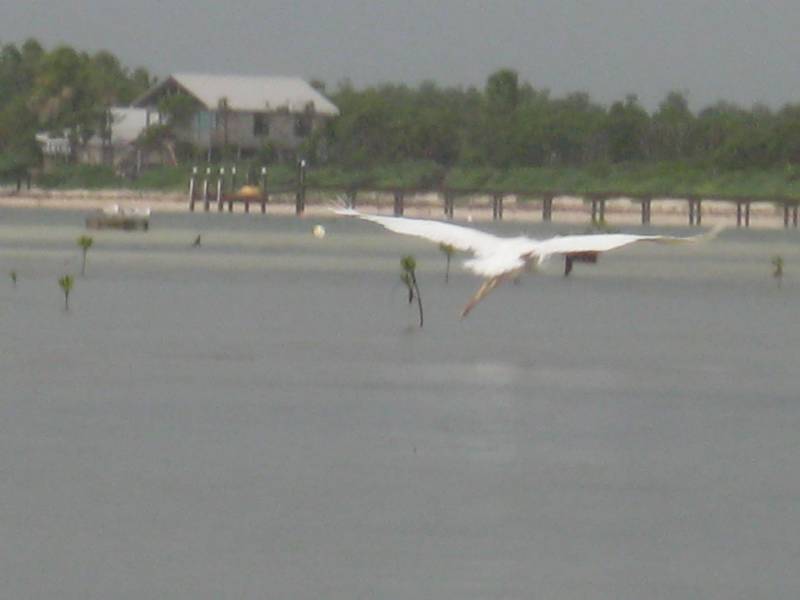Coupon bight state aquatic preserve