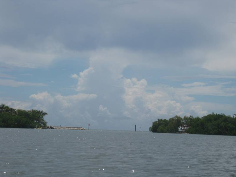 Curry Hammock State Park Report Green Wave Forum
