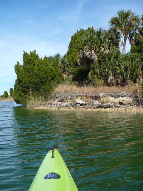 Weekiwachee Preserve Report Green Wave Forum