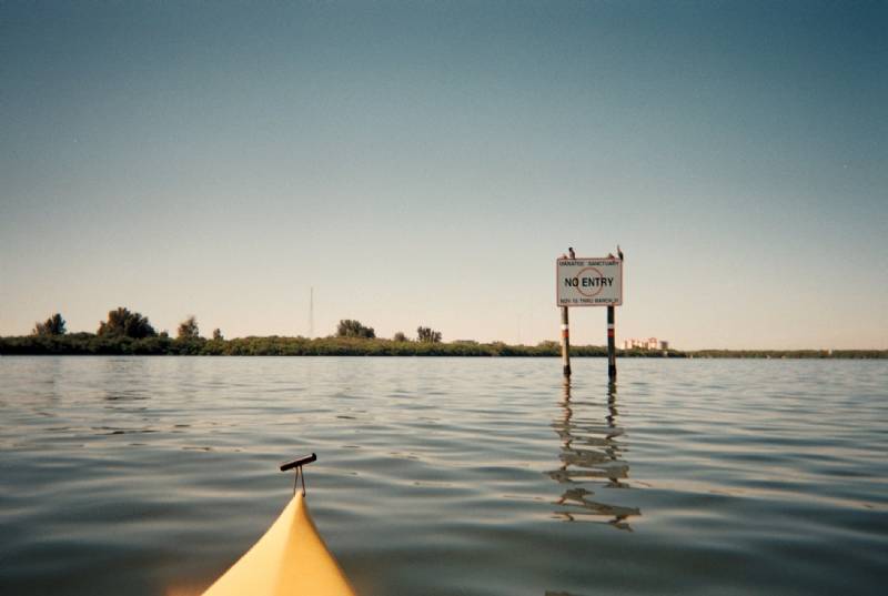 Weedon Island Preserve Report Green Wave Forum