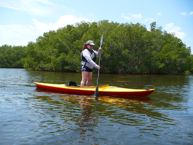 Weedon Island Preserve Gandy Causeway Report Green