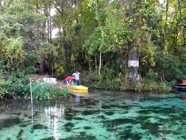 Weeki wachee coupons