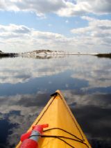 Grayton Beach State Park Report Green Wave Forum