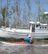 Boat on Bank