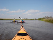 kayakers in salt marsh