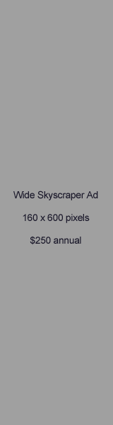 Wide Skyscraper Ad Example