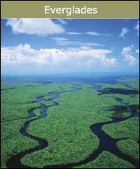 Everglades